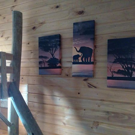Hostel Cape Town - Cambará المظهر الخارجي الصورة