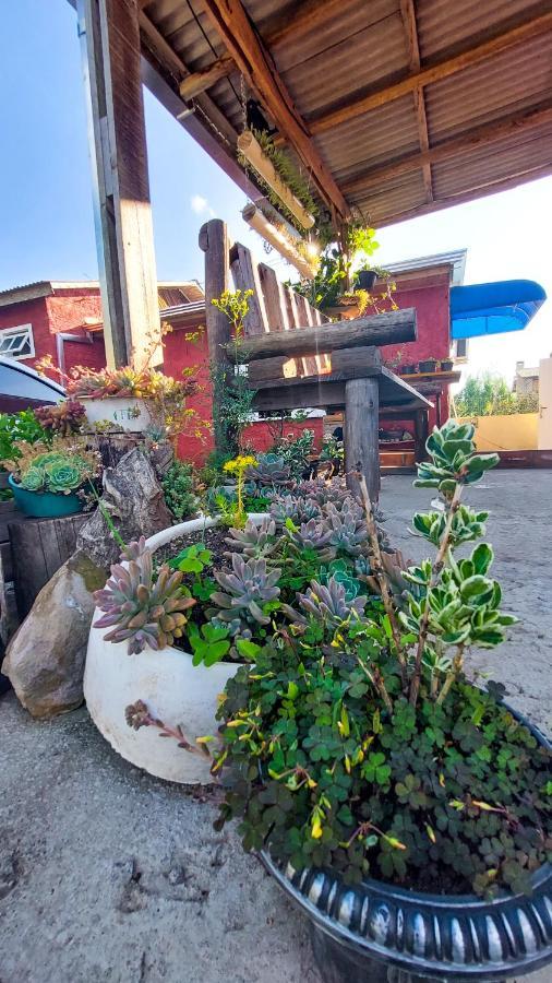 Hostel Cape Town - Cambará المظهر الخارجي الصورة