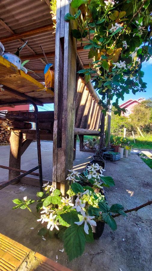 Hostel Cape Town - Cambará المظهر الخارجي الصورة