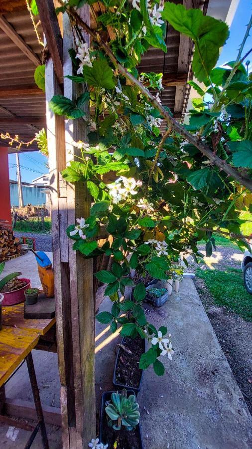 Hostel Cape Town - Cambará المظهر الخارجي الصورة