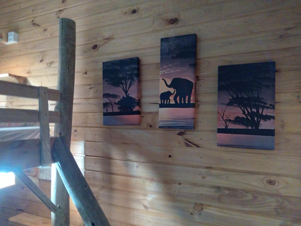 Hostel Cape Town - Cambará المظهر الخارجي الصورة